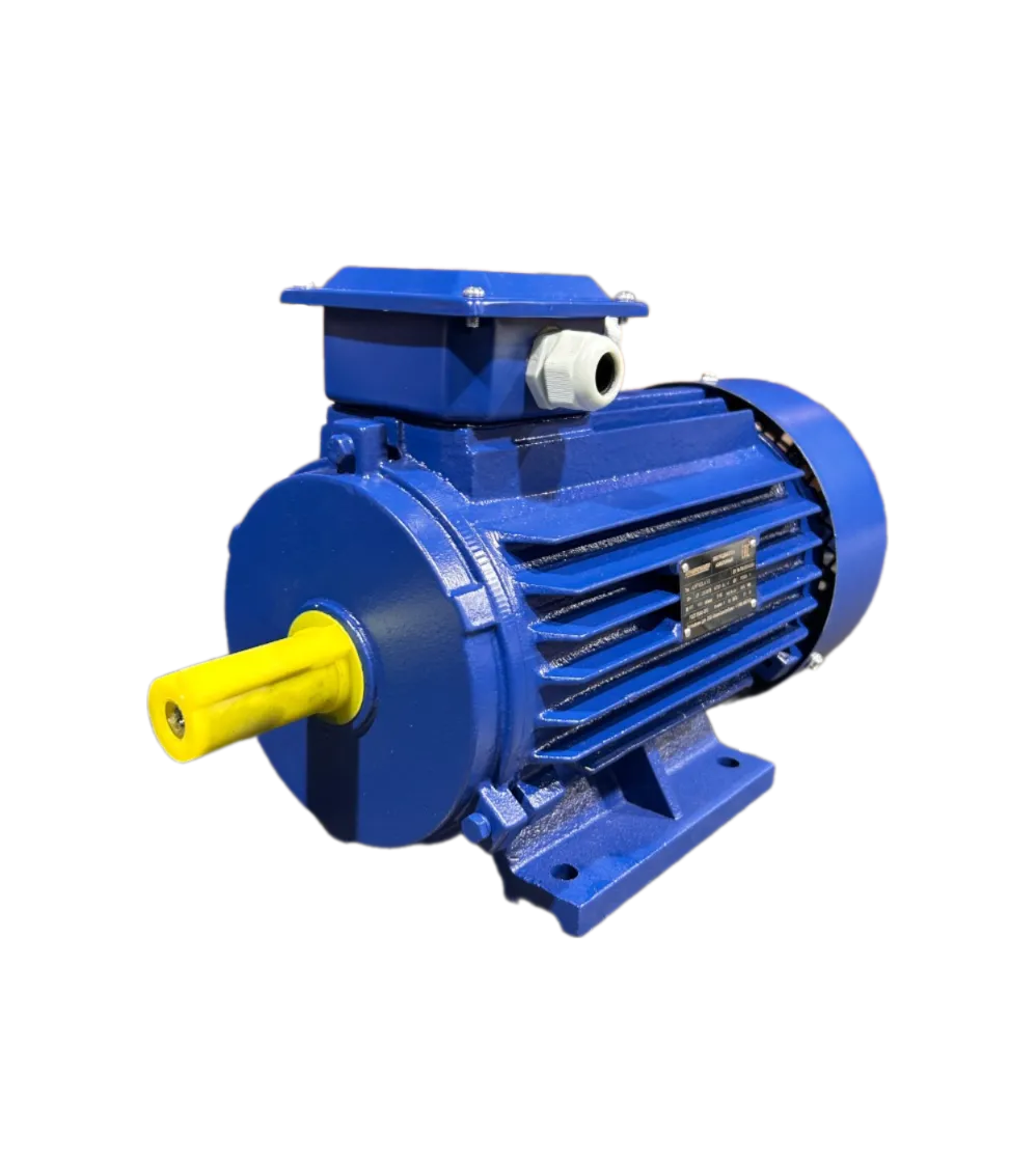 Общепромышленные электродвигатели —  АИР 100L2