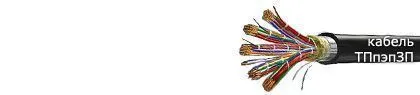Кабель ТПпэпЗП 100х2х0,5-200