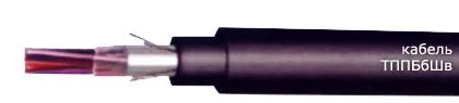 Кабель ТППБбШв 30х2х0,4